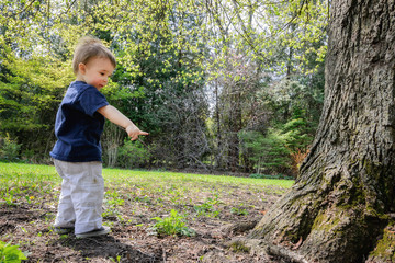 Young Boy in a Park Beside a Tree Pointing to the Ground - 76261065
