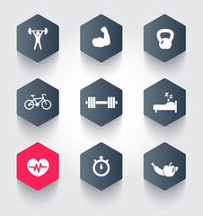 fitness, health, gym trendy hexagonal icons vector illustration