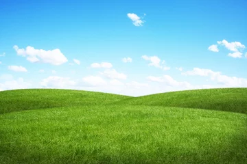 Fotobehang Groen veld en blauwe lucht © sdecoret