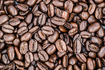 Fresh Roasted Coffee Beans