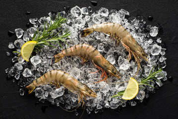 Fresh tiger shrimp on ice on a black stone table top view - 76263213