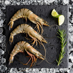 Fresh tiger shrimp on ice on a black stone table top view