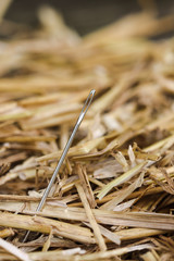 Needle in Haystack
