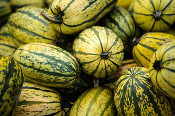 Autumn Squash