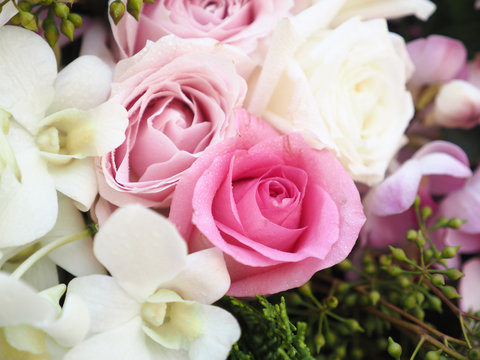 pink rose in wedding day