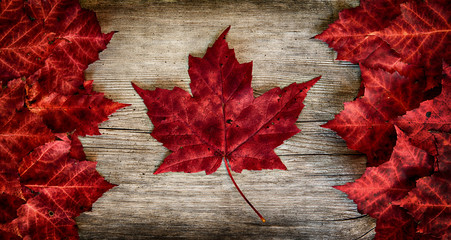 Drapeau canadien fait de vraies feuilles d& 39 érable sur un support de cèdre