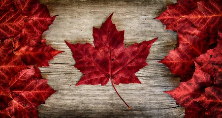 Foto op Canvas Canadese vlag gemaakt van echte esdoornbladeren op een Cedar backing © SHS Photography
