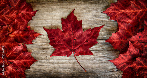 Canadian Flag made out of real Maple Leaves on a Cedar backing