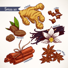 Set with hand-drawn spices