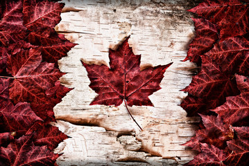 Canadian Flag made out of real Maple Leaves on a birch bark - 76264620