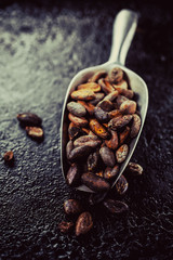 cocoa beans in a  scoop