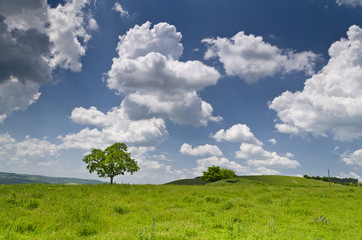 Dramatic Blue Sky, Meadow and a tree near the village Katselovo