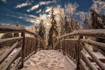 Frozen Bridge in a Park Landscape