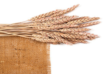 Sackcloth and wheat