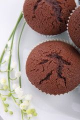 Chocolate muffins