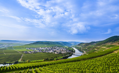 Fototapeta na wymiar famous Moselle Sinuosity with vineyards