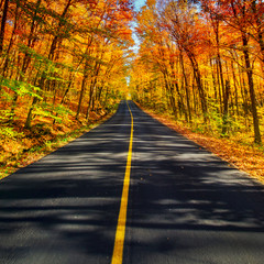 The Long Rural Autumn Road Corridor - 76271208