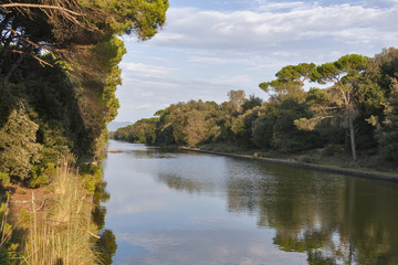 Channel of San Rossore Regional Park, Italy