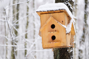 Wooden birdhouse hanging on the tree at winter