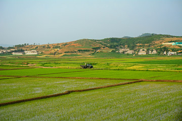 Fototapeta na wymiar Countryside, North-Korea