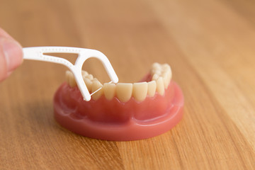 Person flossing a set of false teeth