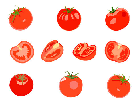 Set of red Tomatos. Vector illustration. Isolated on white backg