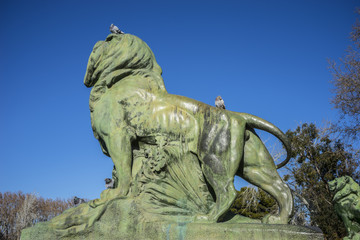 Fototapeta premium Lion, classical bronze sculptures, Lake in Retiro park, Madrid S