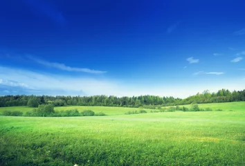 Rugzak grasveld en perfecte lucht © Iakov Kalinin