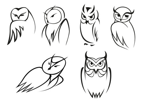 Owl bird icons in doodle sketch outline style