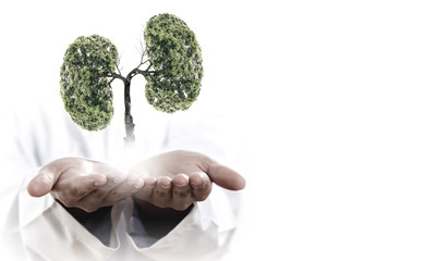 Air pollution