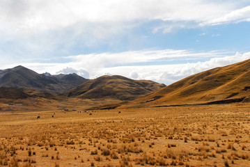 Naklejka na ściany i meble View along the Cusco-Puno Road, Peru