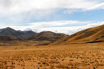 Foto op Aluminium View along the Cusco-Puno Road, Peru © demerzel21