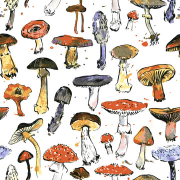 seamless pattern with watercolor drawing mushrooms