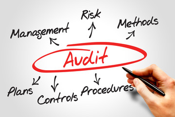 Audit diagram process, business concept