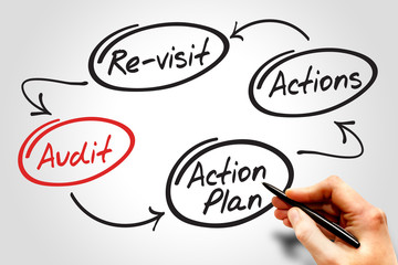Four steps of the audit process in order to audit a company