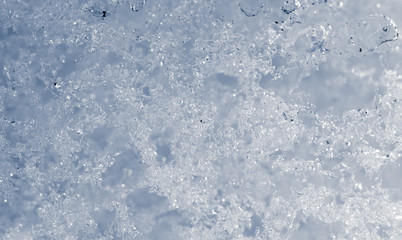 snowflakes as background. close-up