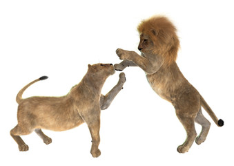 Playing Lions