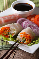 vegetable spring rolls on a plate close-up. Vertical