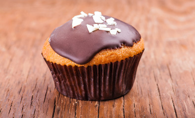 cupcake in chocolate icing