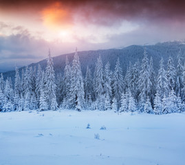 Colorful winter sunset in the mountains