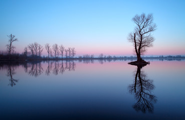 Fototapeta na wymiar Lake with tree at sunrise, Slovakia