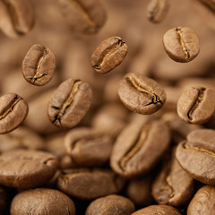 Closeup of coffee beans with focus on one