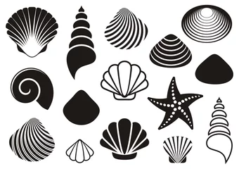 Deurstickers Sea shells and starfish © blumer1979