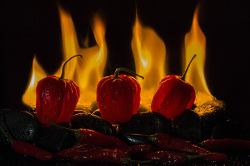 Hot Habaneros