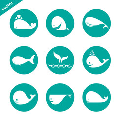 Vector group of whale in the circle on white background
