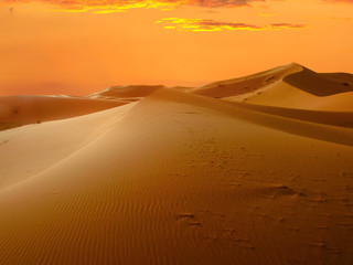 Desert landscape.