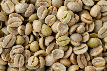 green coffee background