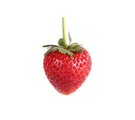 Strawberry on white background