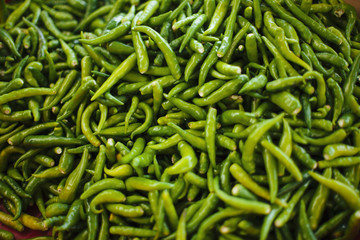 Green chilli peppers on heap.