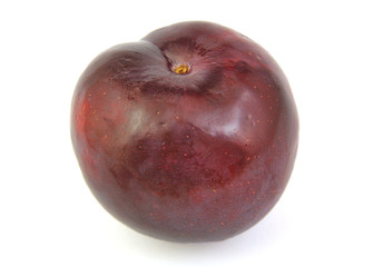 Front view of plum on white background.